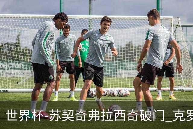 世界杯-苏契奇弗拉西奇破门 克罗地亚2-1加纳小组第二